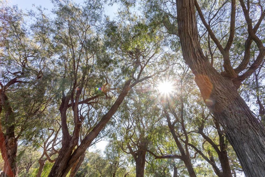 Busselton Villas And Glamping Village Dış mekan fotoğraf